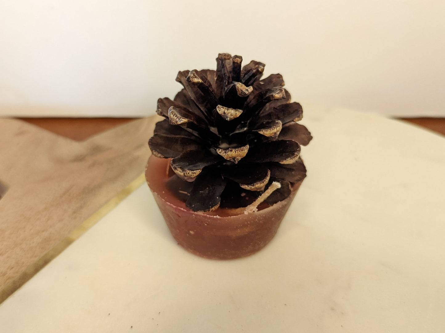 Pinecone Fire Starters